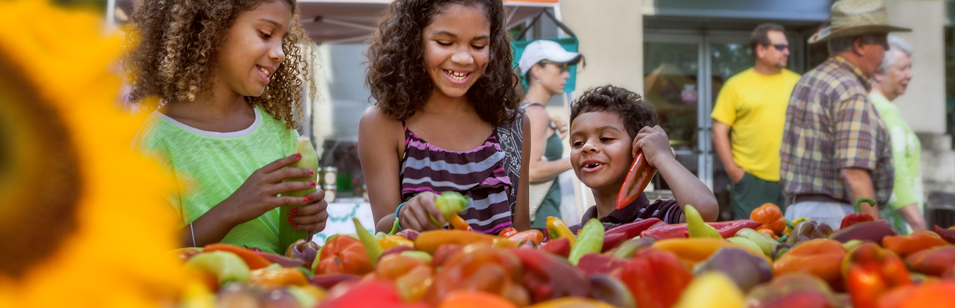Farmers Markets