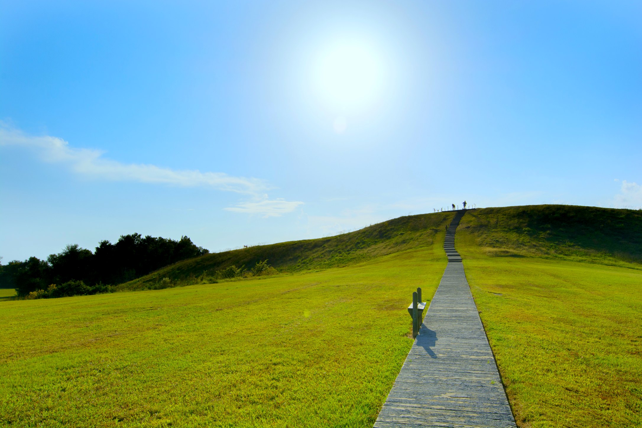 Poverty Point Mound A