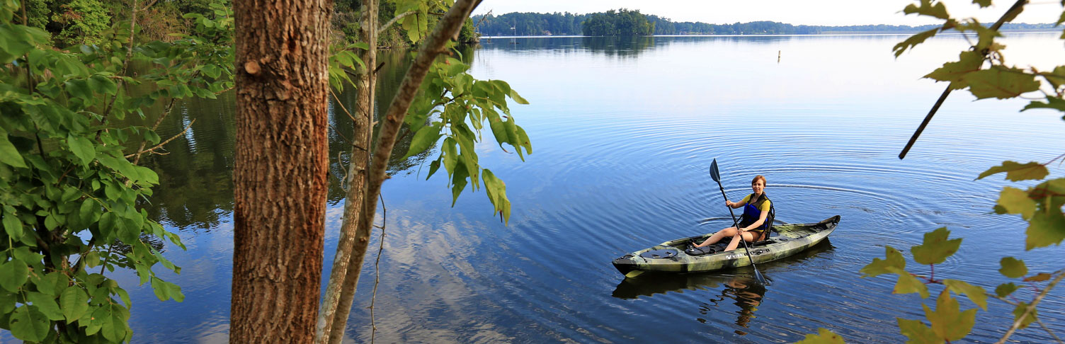 Paddle Community