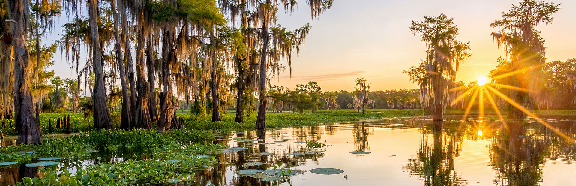 Louisiana Sunshine Plan