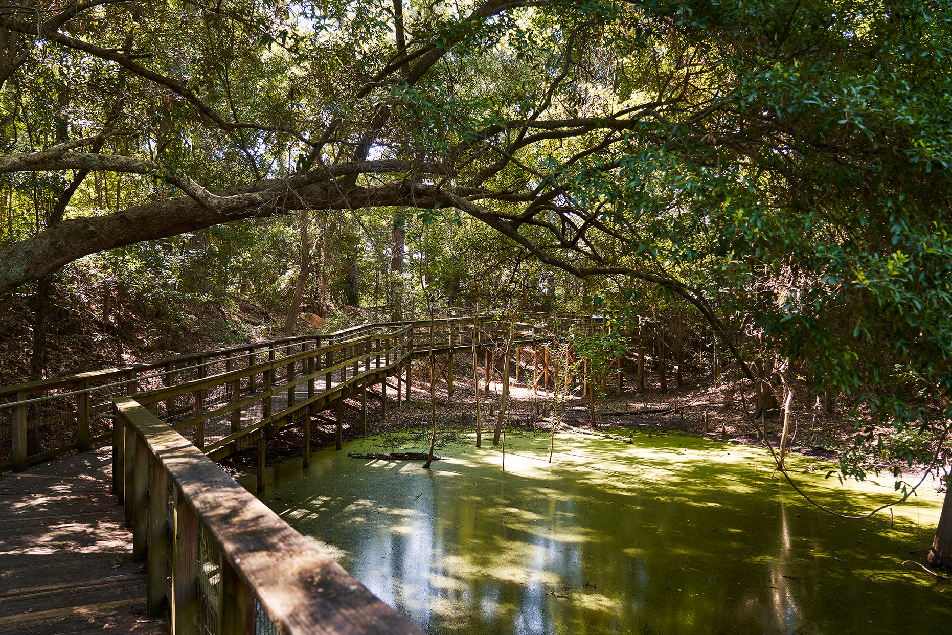 200613_Fort Randolph SHS_161.jpg Boardwalk at Forts Randolph & Buhlow State Historic Site