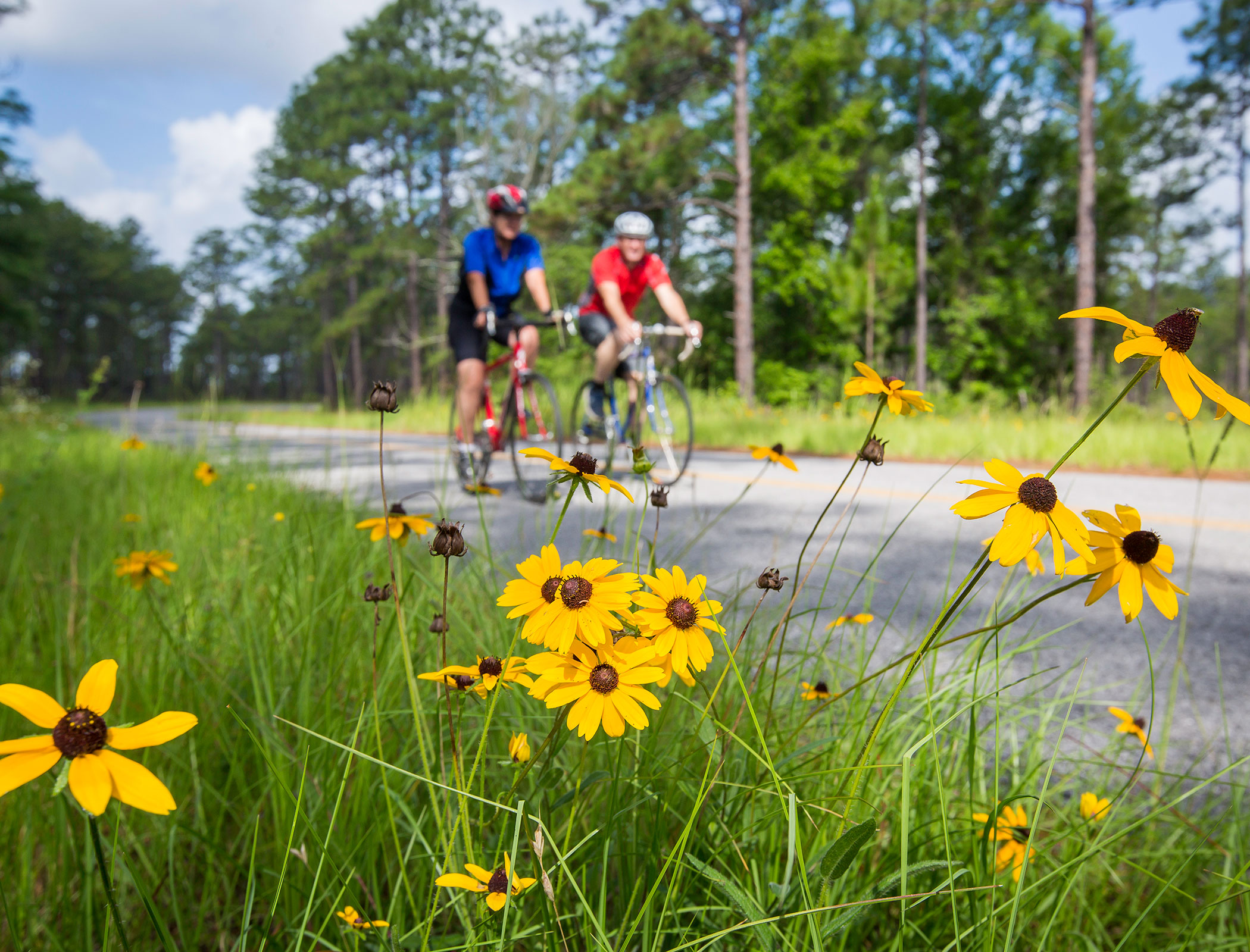 Kisatchie_biking_web.jpg Biking through Kisatchie National Forest