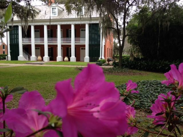 Shadows on the Teche in New Iberia