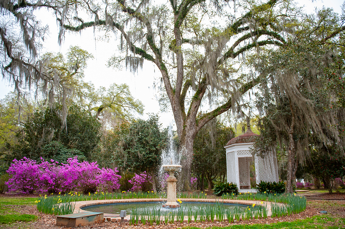A fountain with lush greenery in the background at the Rosedown Plantation and Gardens State Historic Site in Francisville, LA.