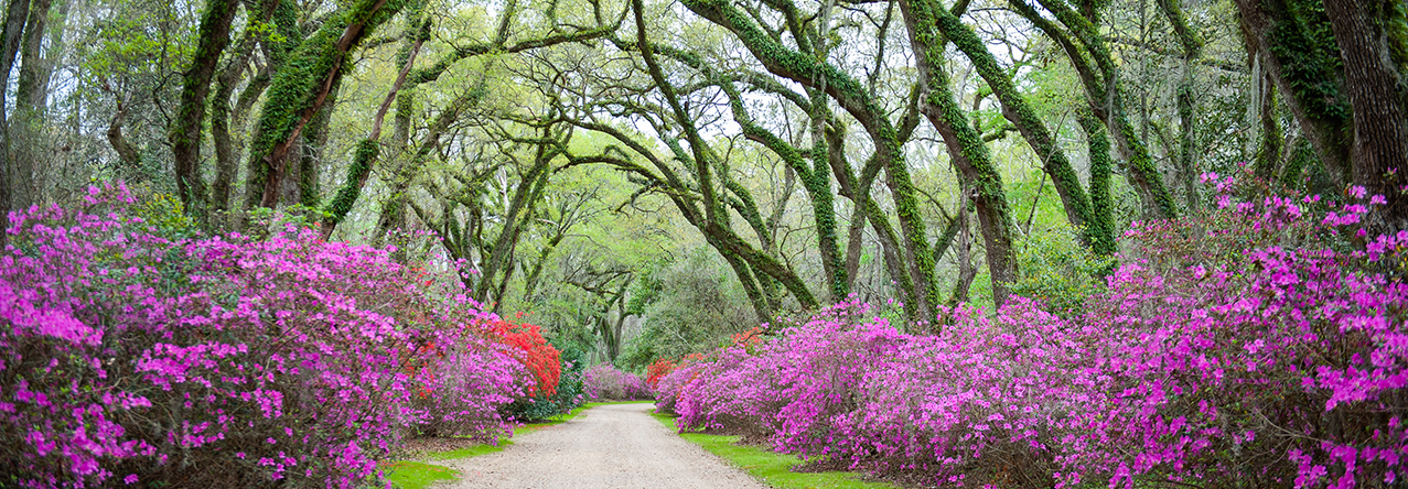 Afton Villa Gardens