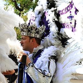 Webster Mardi Gras