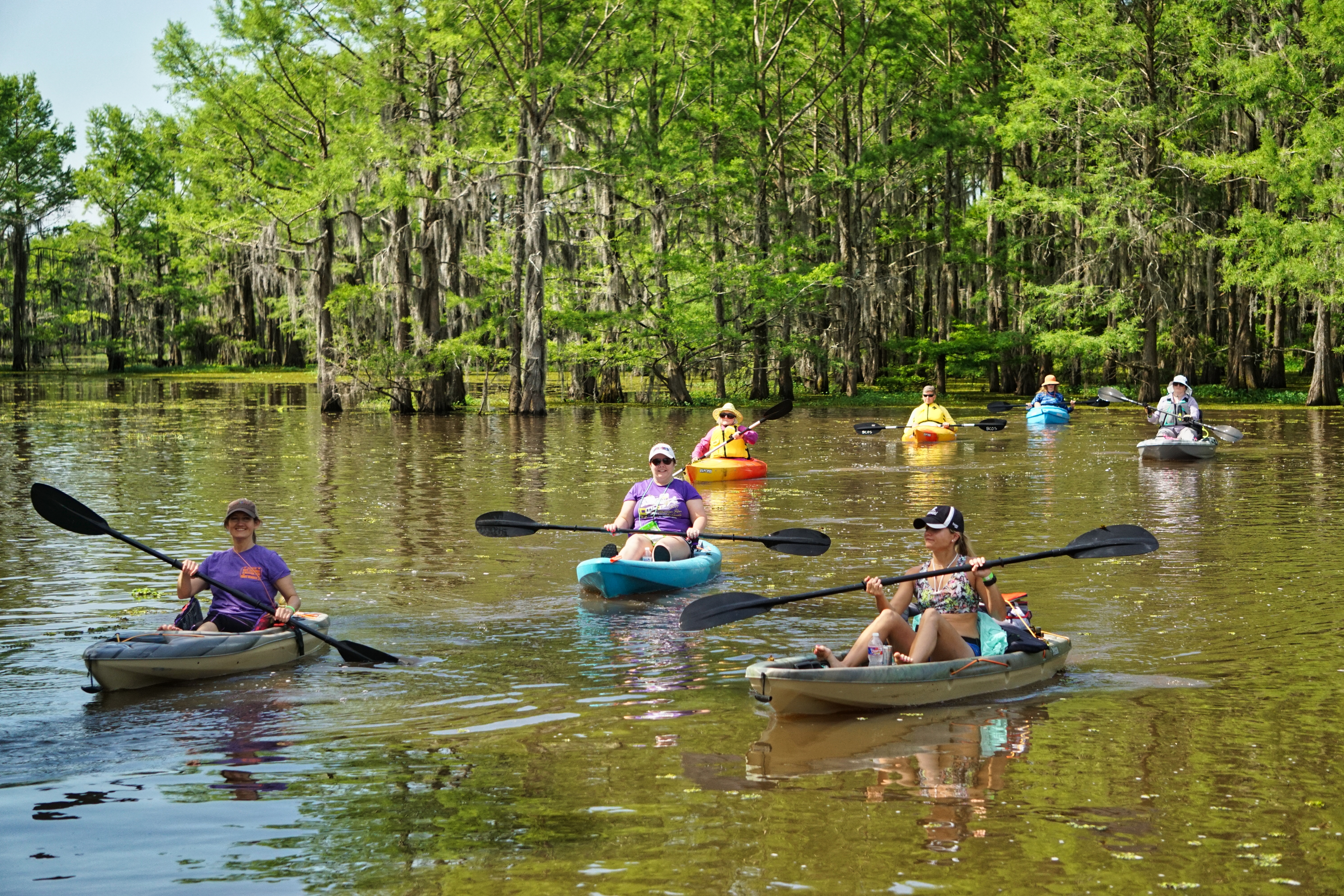 Discover-Webster-Parish