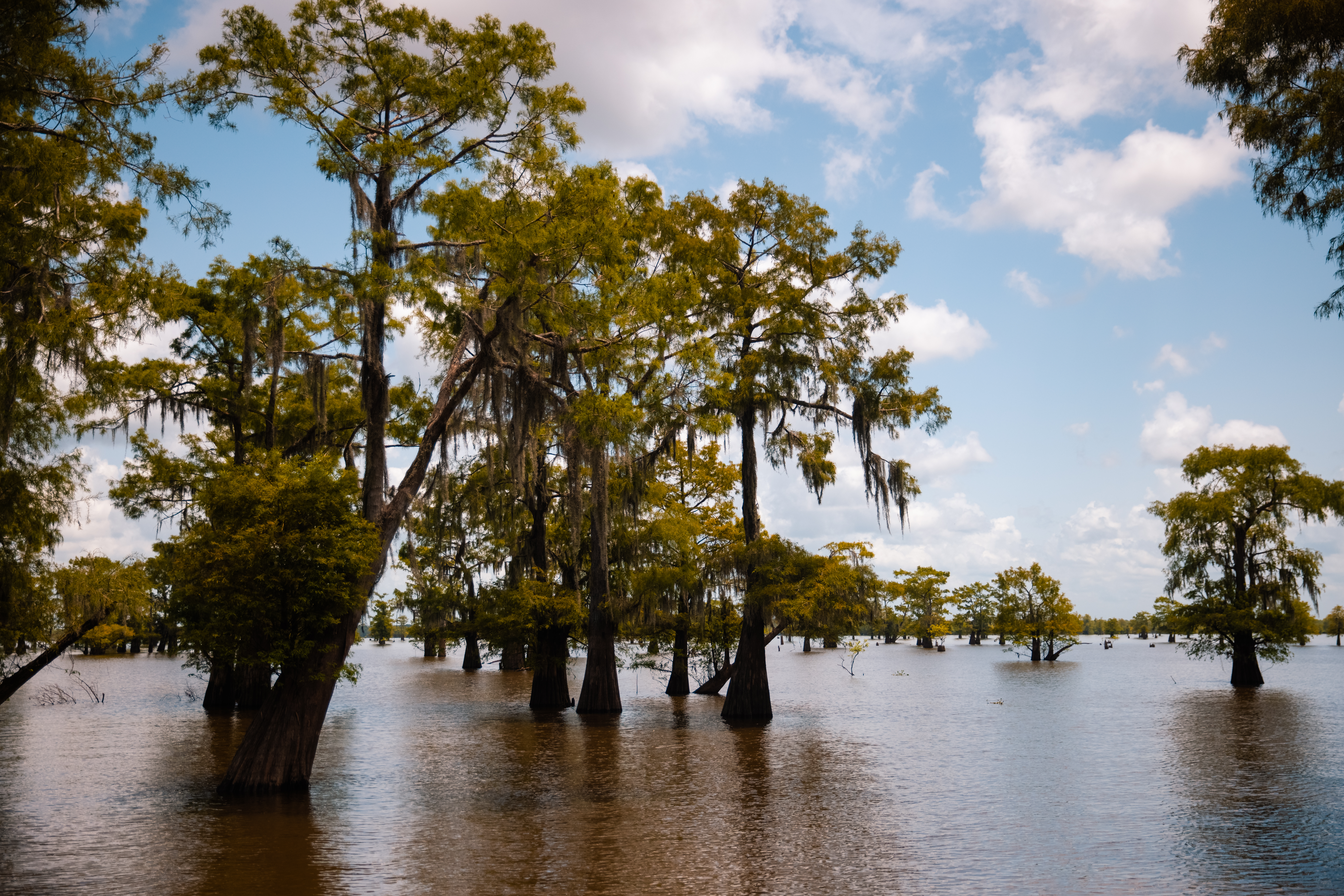 The Atchafalaya Water Heritage Trail showing the basin.