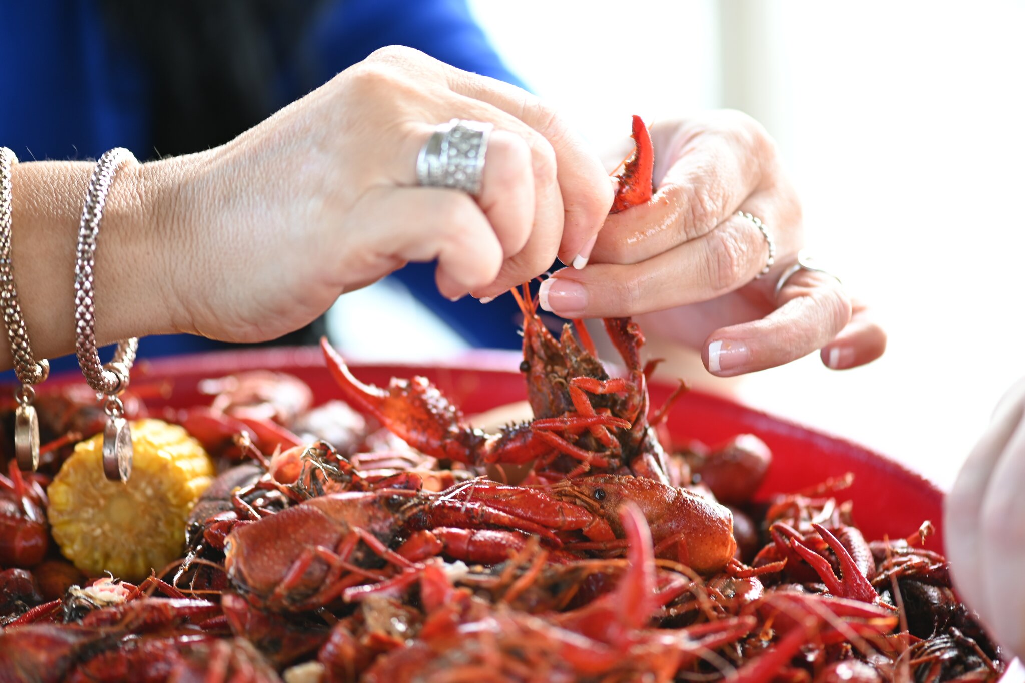Two hands peeling boiled crawfish.
