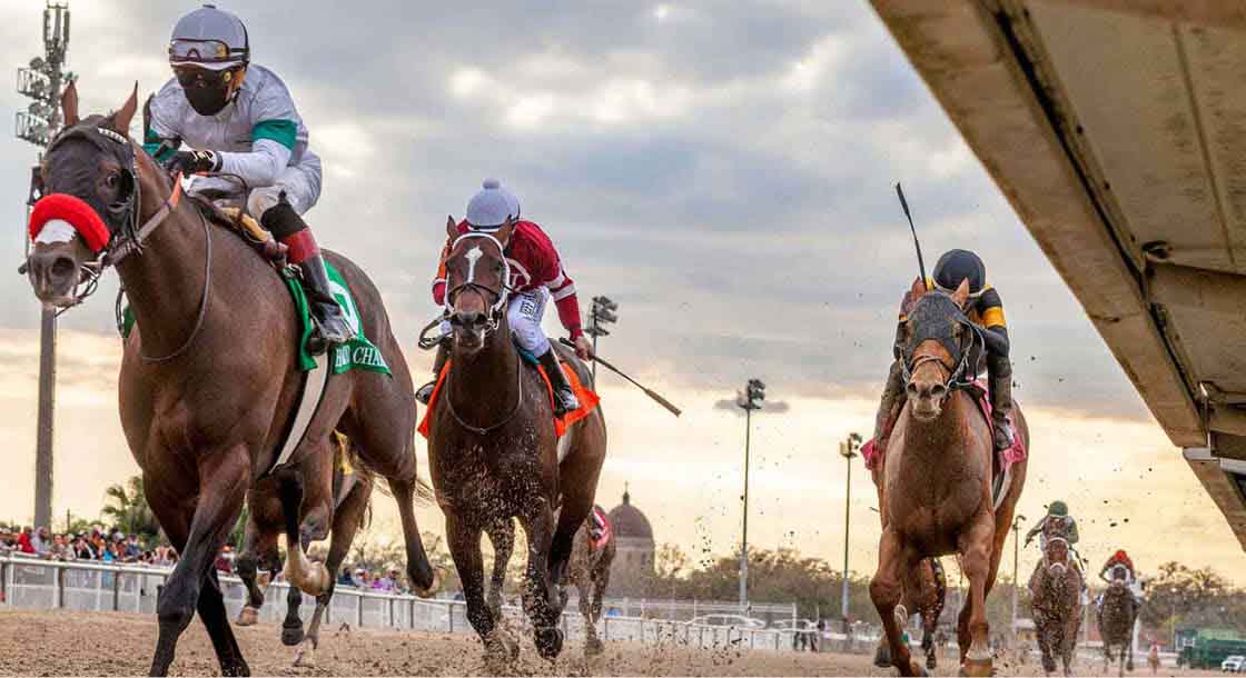Horses race at the Fair Grounds Race Course & Slots in New Orleans.