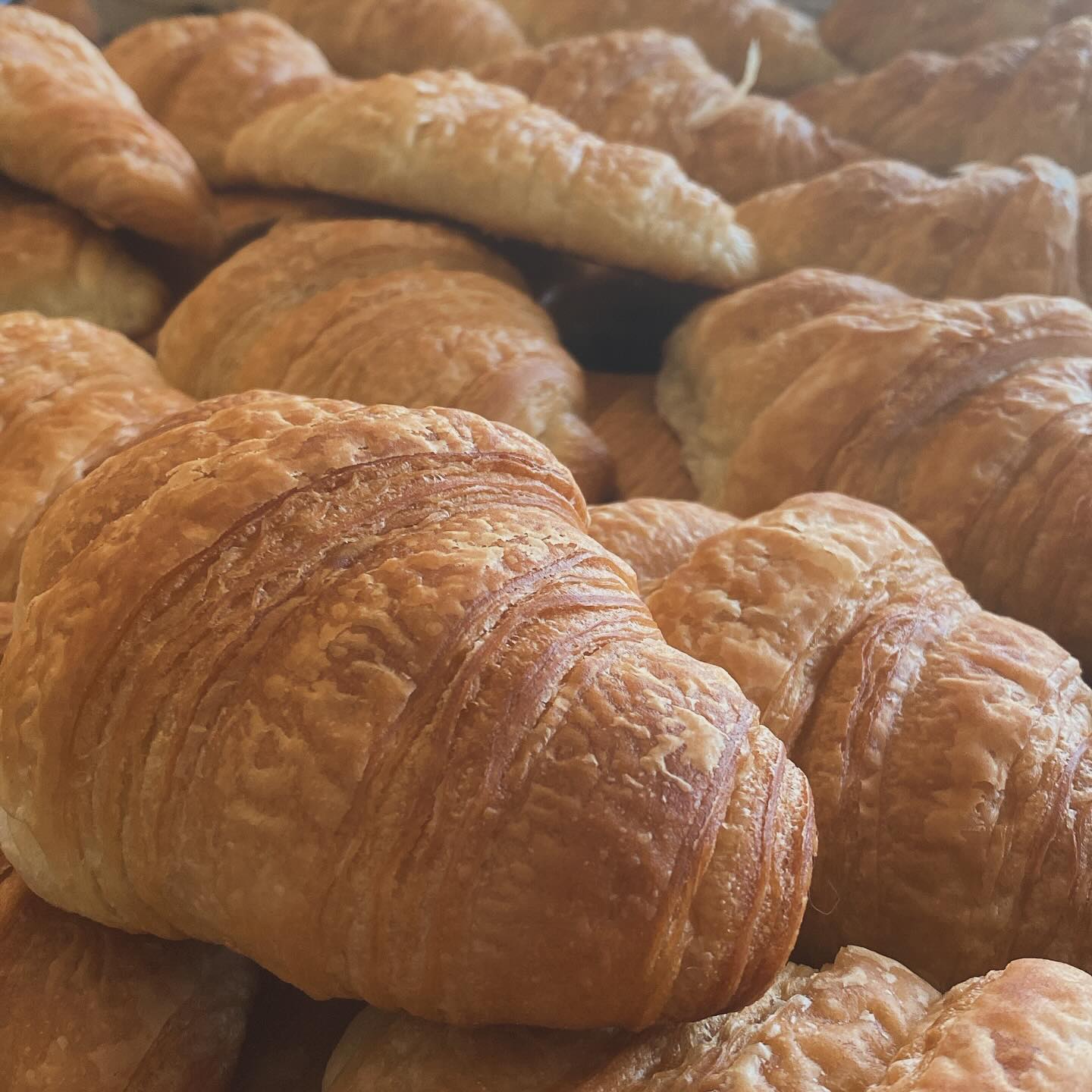 perfectly baked vegan croissants from Breads on Oak in New Orleans