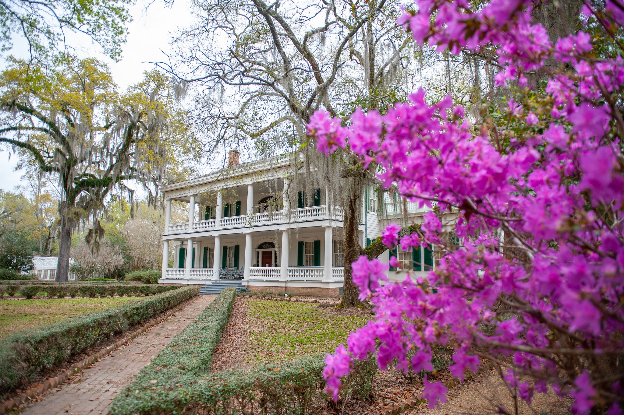 Rosedown Plantation in St. Francisville.