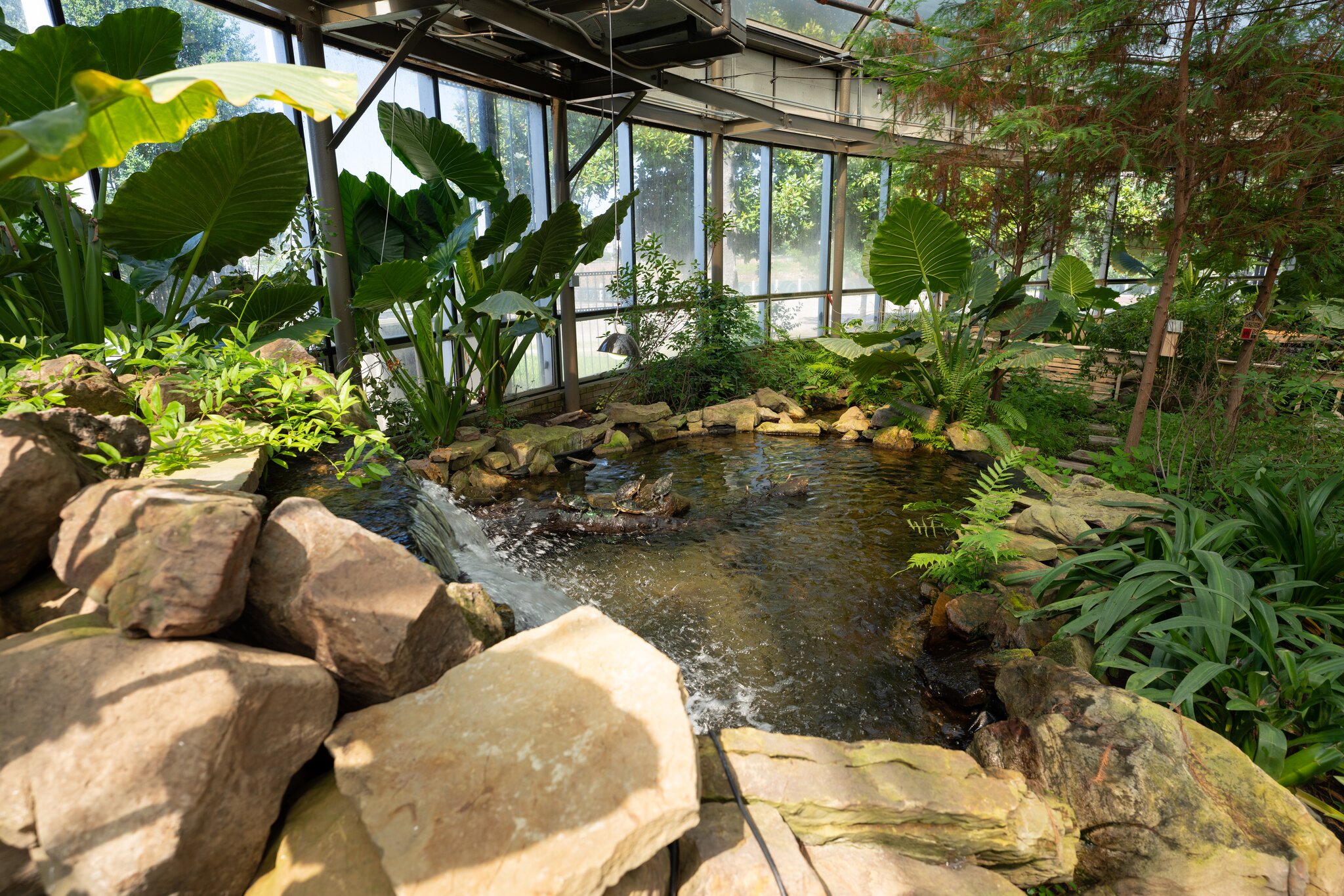 An indoor exhibit featuring a small pond surrounded by shrubbery at Shreveport Aquarium.