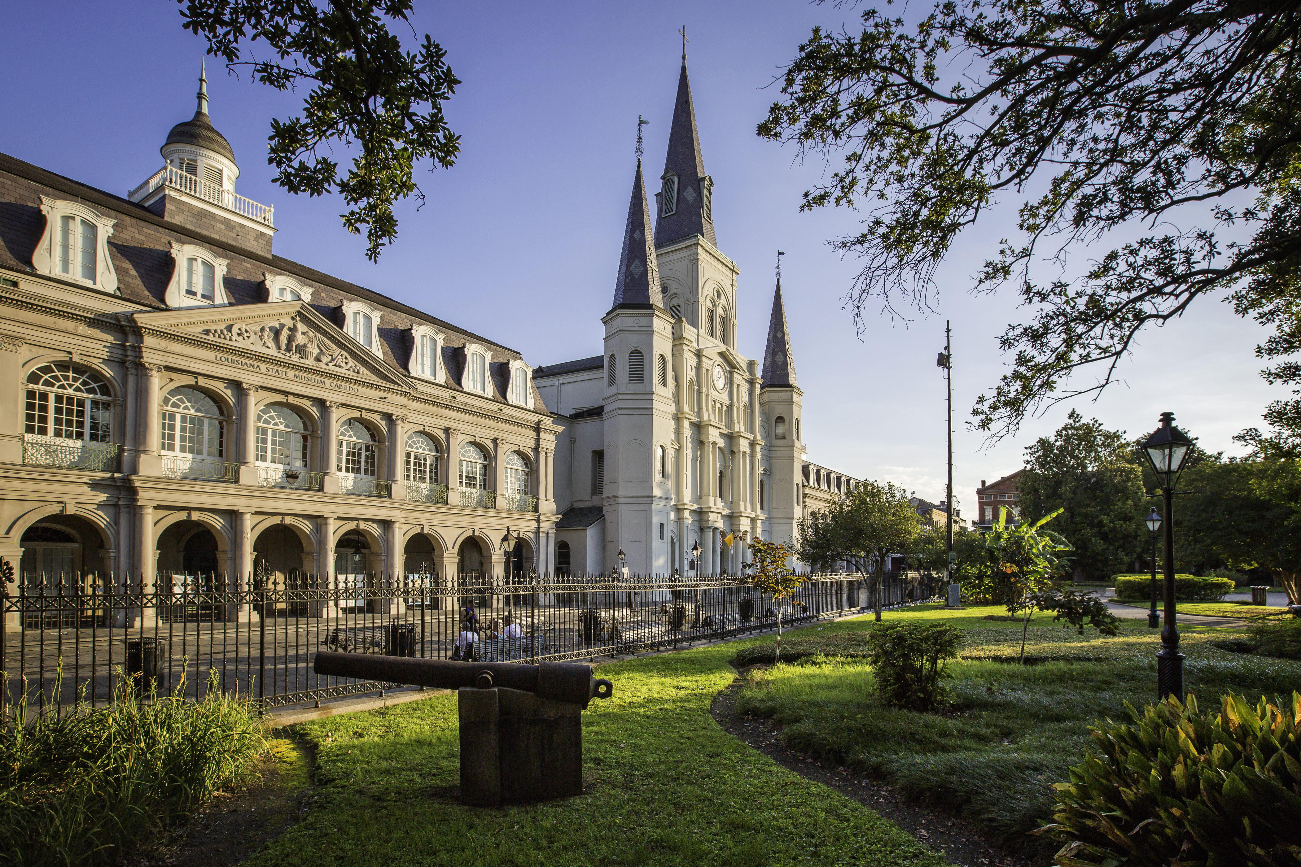 French Quarter greenery