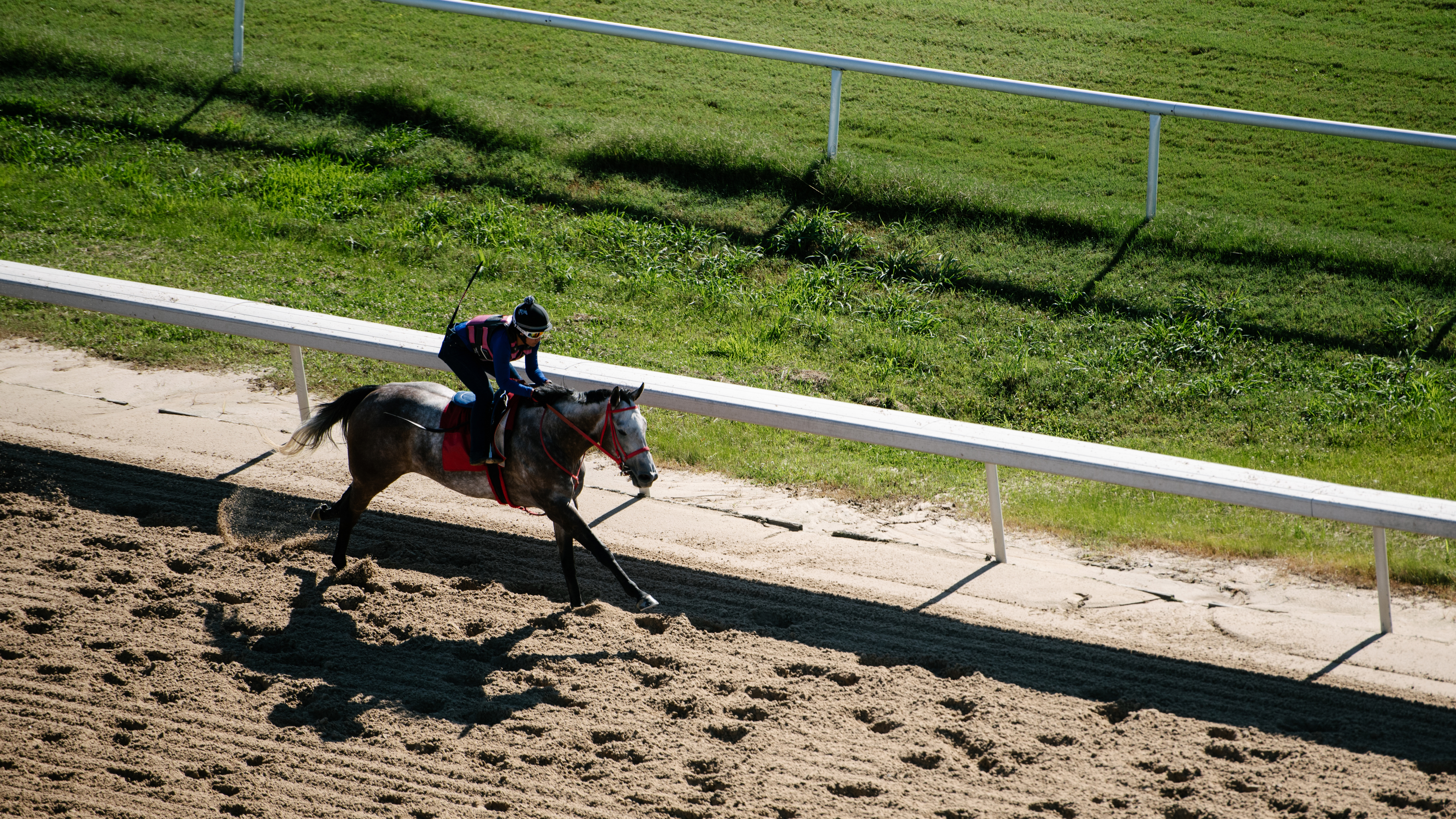 Horse racing at Evangeline Downs Racetrack & Casino.