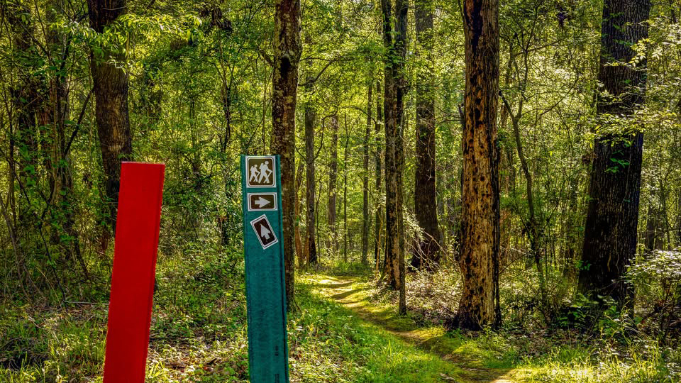 Eddie D. Jones State Park