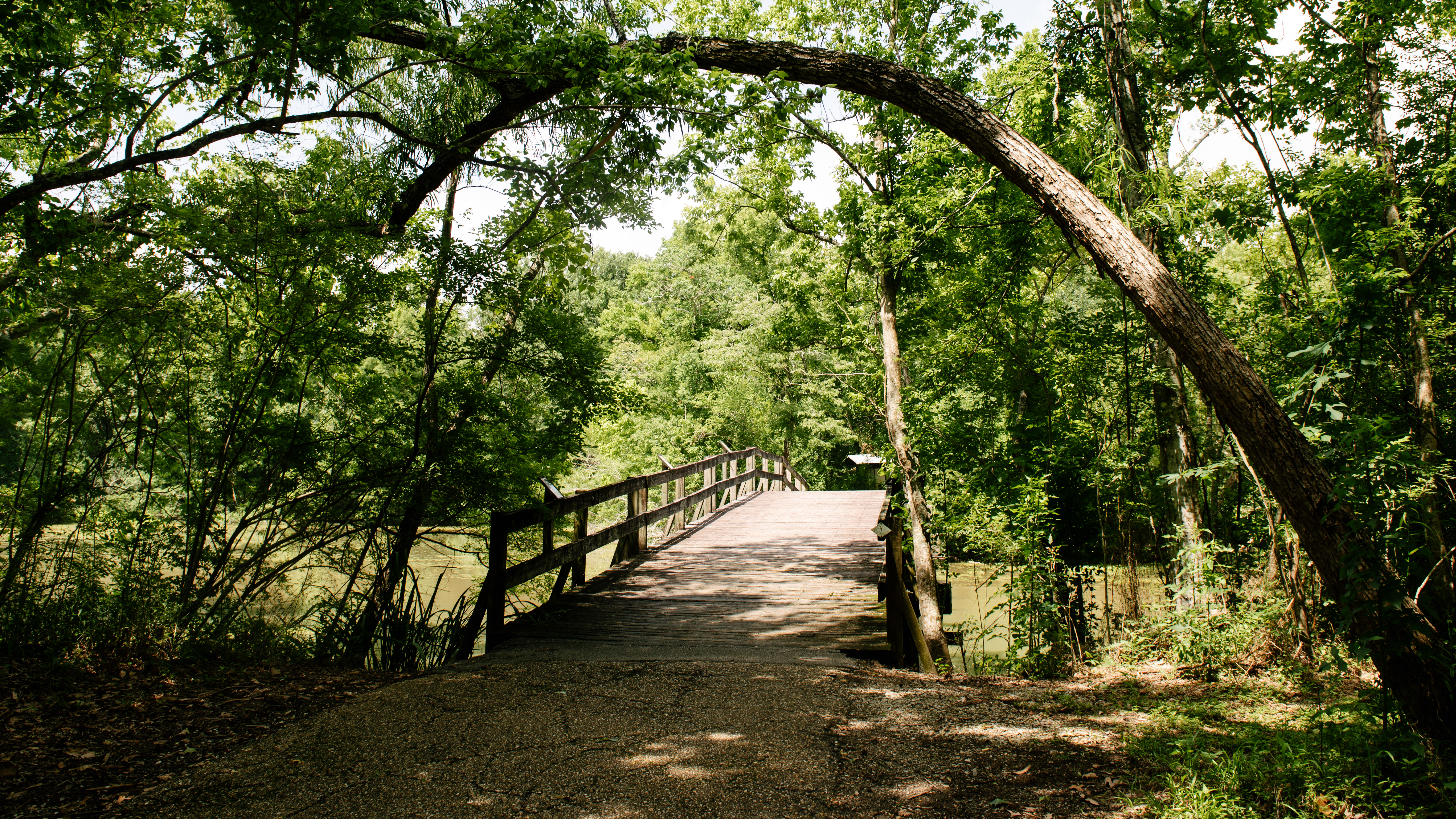 Lake Fausse Pointe State Park near Lafayette.