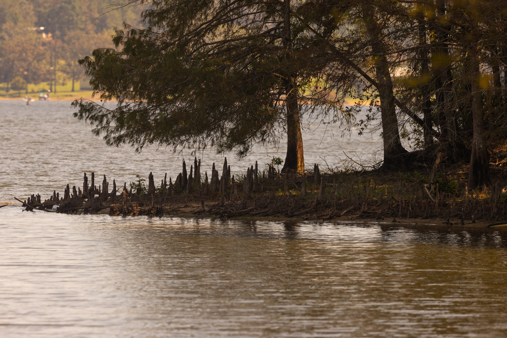 North Toledo Bend State Park