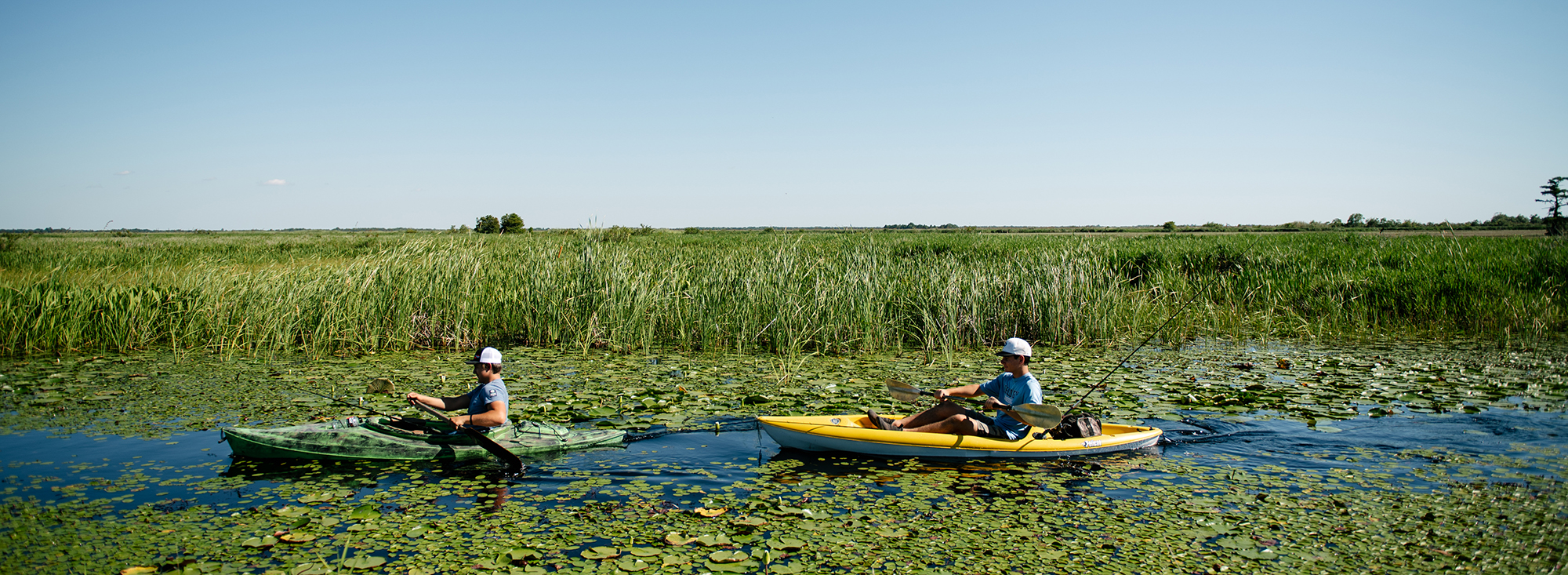 Two young men paddling through a bayou in Lacassine National Wildlife Refuge on a sunny day