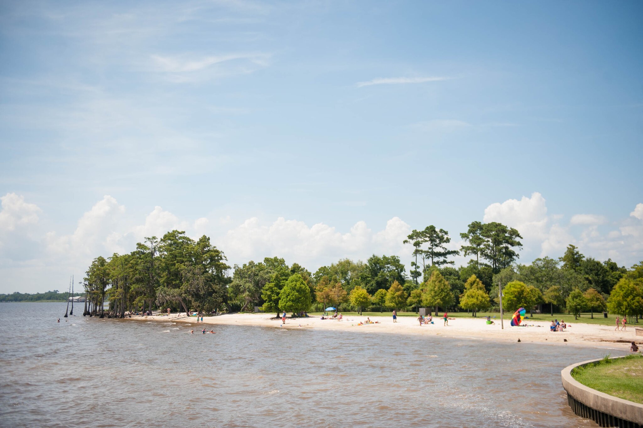 People relax and swim along a sandy shoreline backed by tall cypress trees at Fontainebleau State Park.