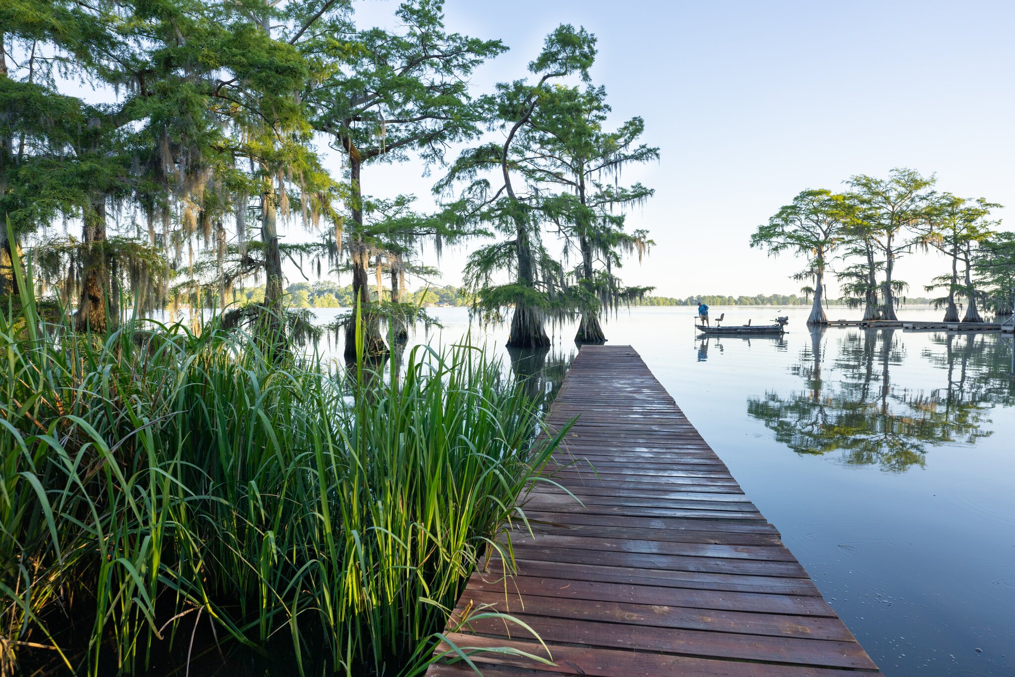 Lush green trees reflect on the still water beside a wooden boardwalk at Lake Bruin State Park.