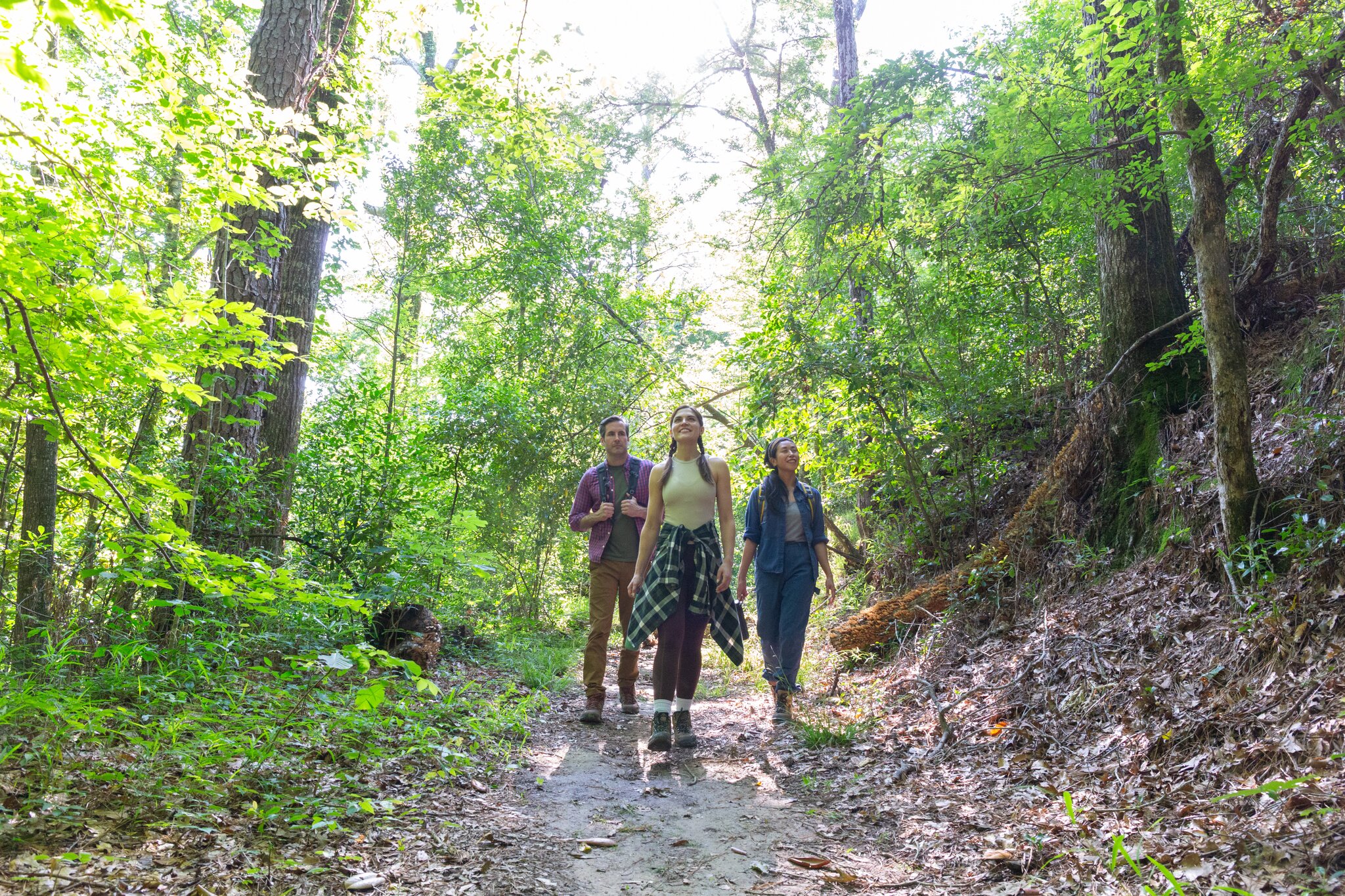 Visitors walk along a shaded trail surrounded by thick forest vegetation.