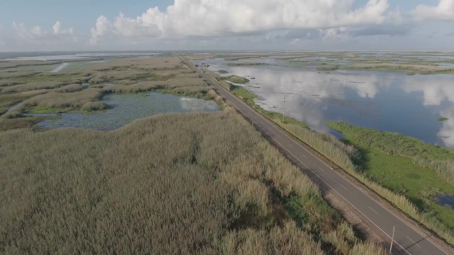 Visit the Creole Nature Trail