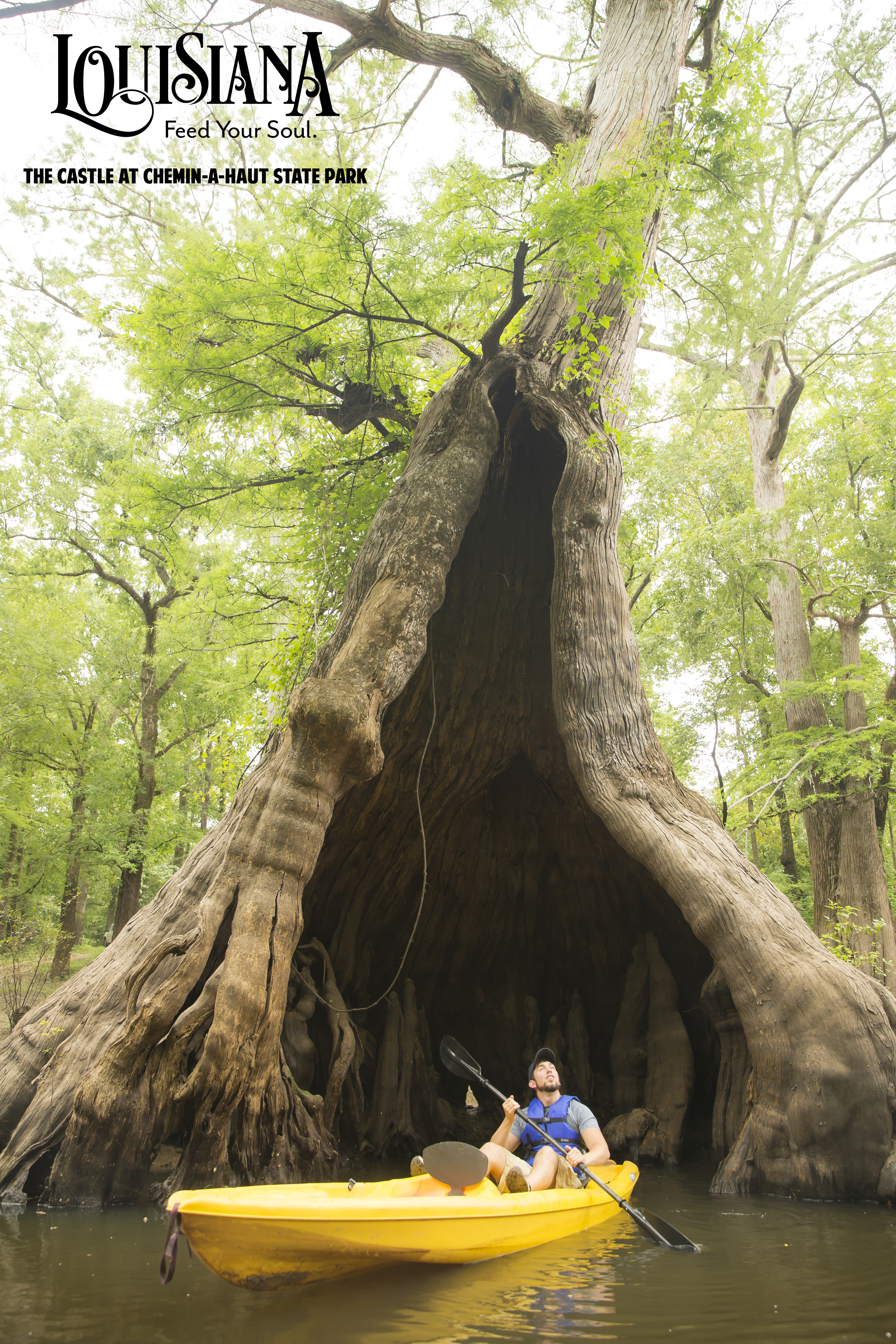 The Castle at Chemin-A-Haut State Park