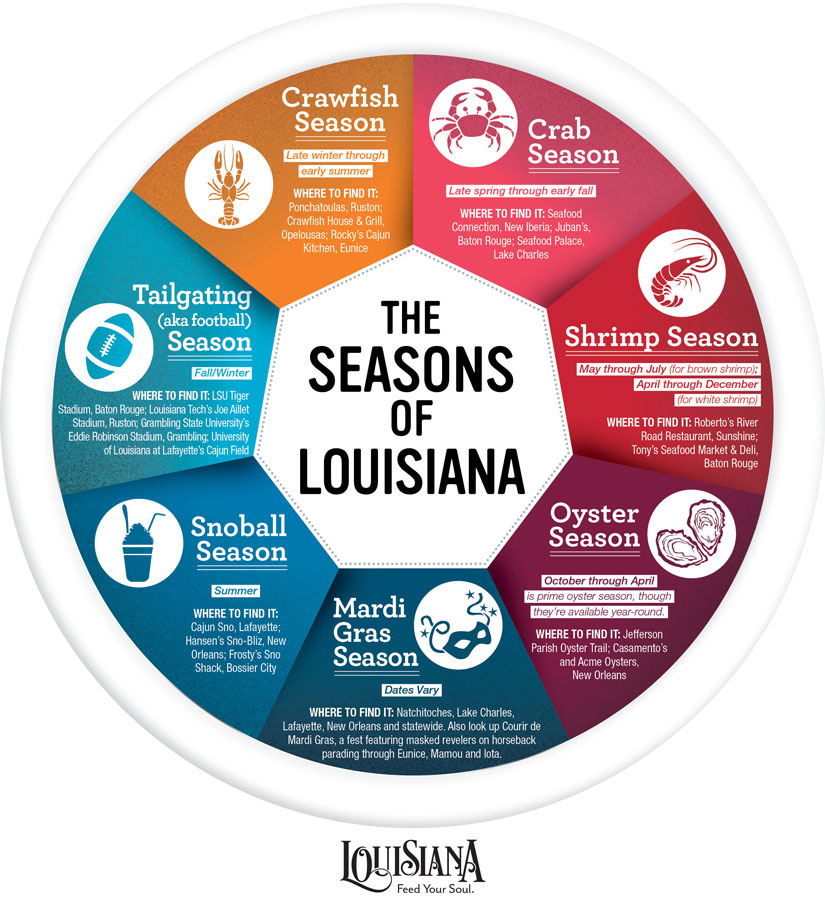 Seasons of Louisiana Infographic