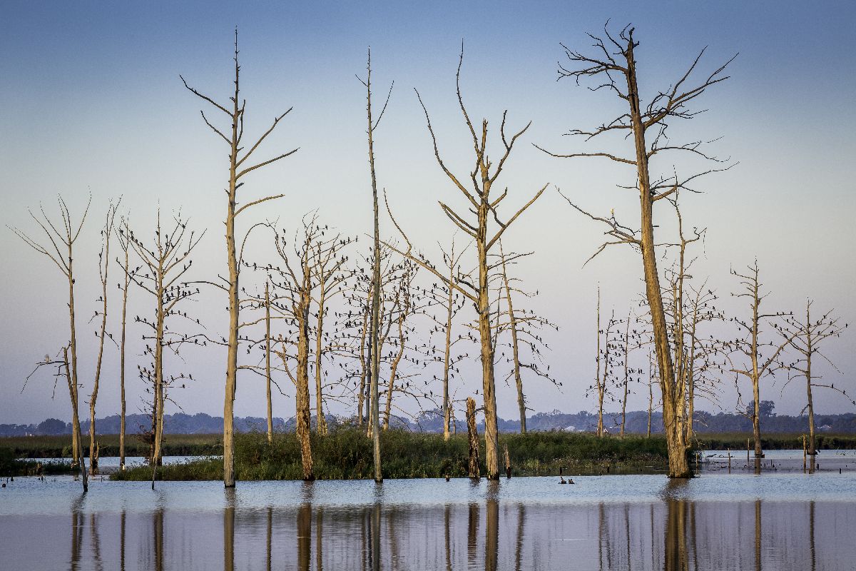 Outdoors views at Poverty Point Reservoir State Park in Delhi, Louisiana Outdoors views at Poverty Point Reservoir State Park in Delhi, Louisiana