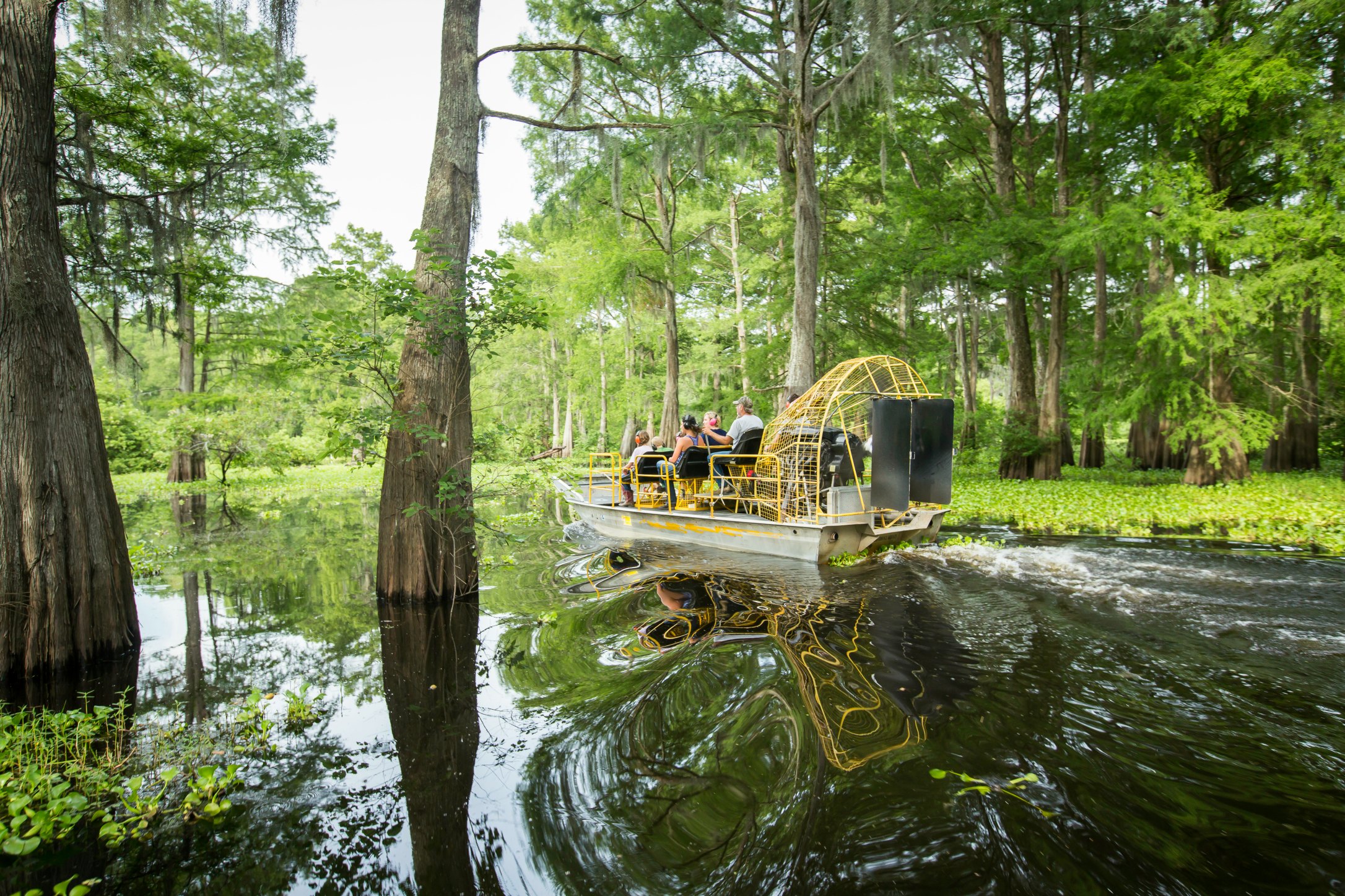 Airboat Swamp Tour
