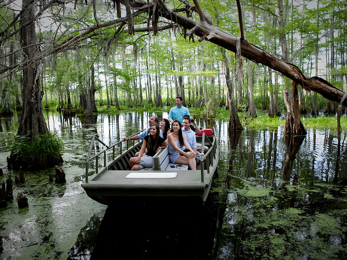 Honey Island Swamp Tour, St. Tammany Parish Louisiana Honey Island Swamp Tour, St. Tammany Parish Louisiana