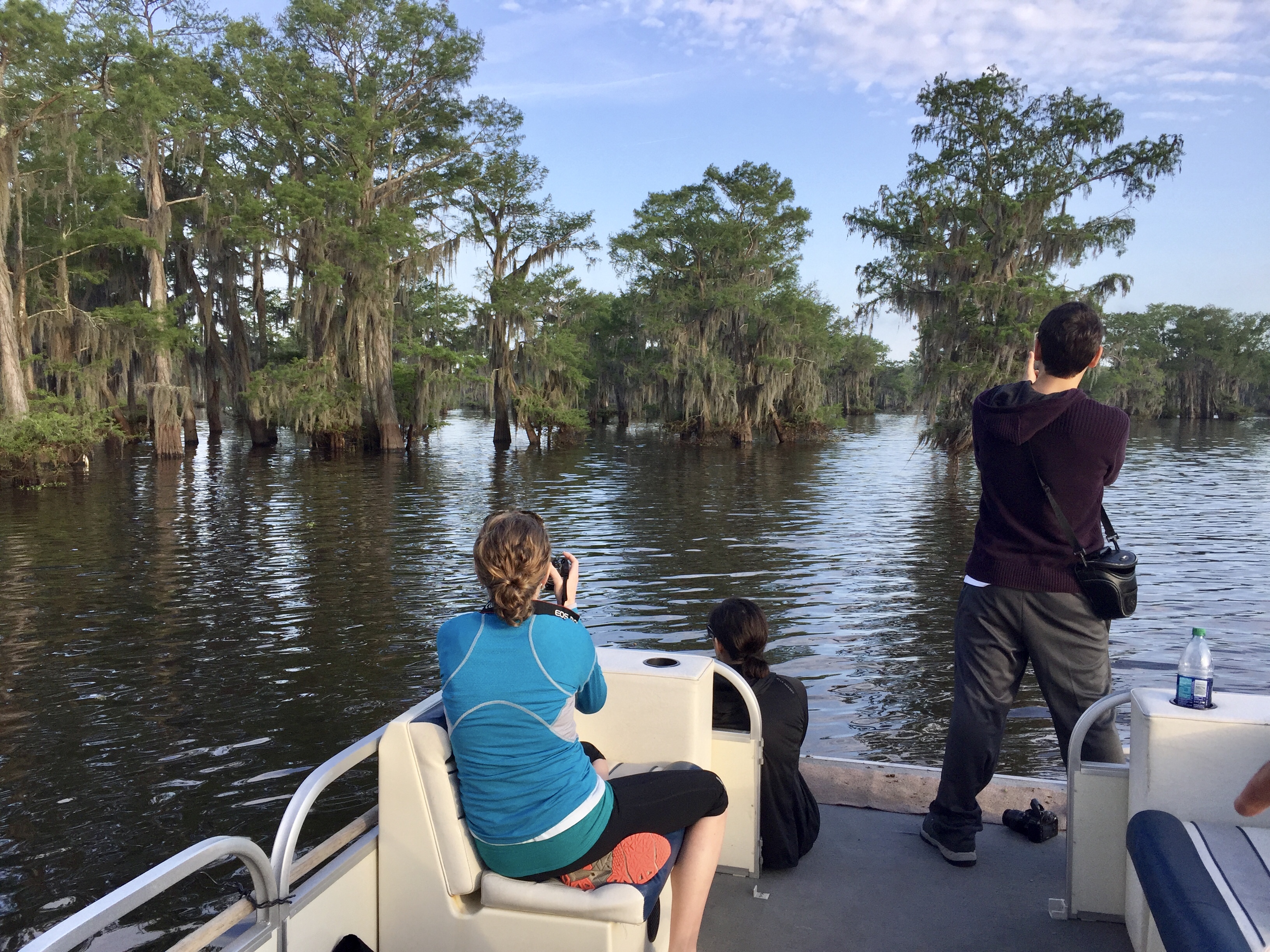 Louisiana swamp tour Louisiana swamp tour