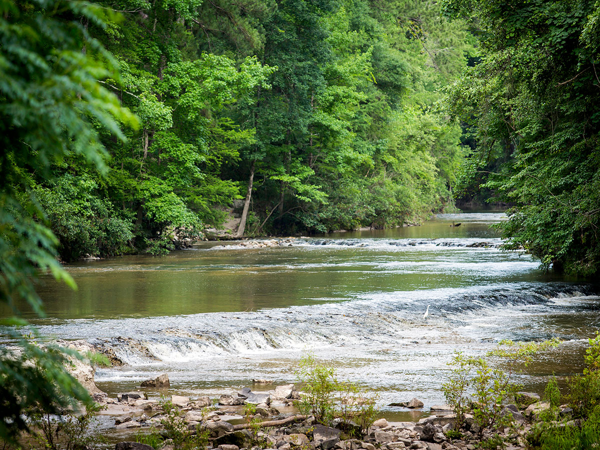 Kisatchie National Forest Water cascades down a set of mini waterfalls on a tree-lined river in Louisiana's Kisatchie National Forest.
