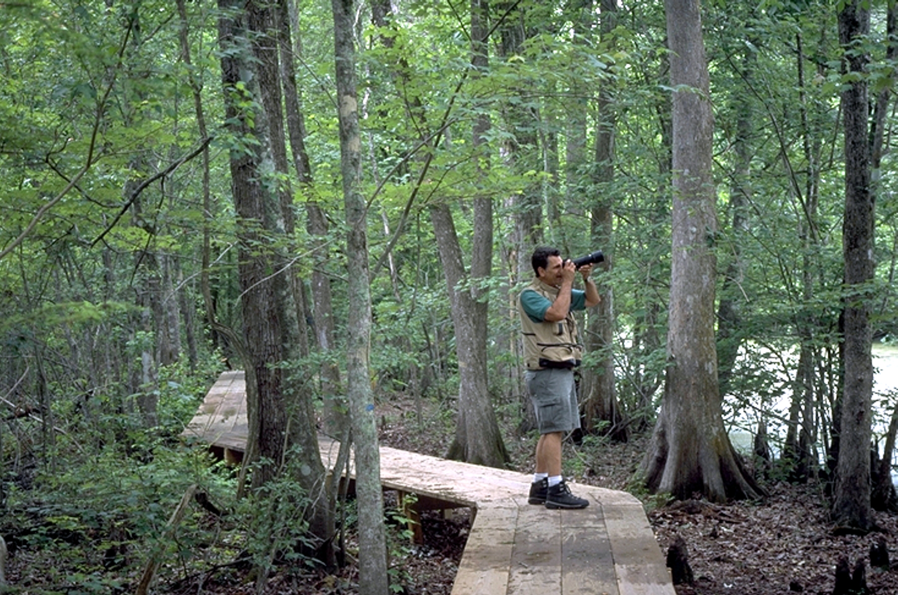 Lake Fausse Pointe Boardwalk