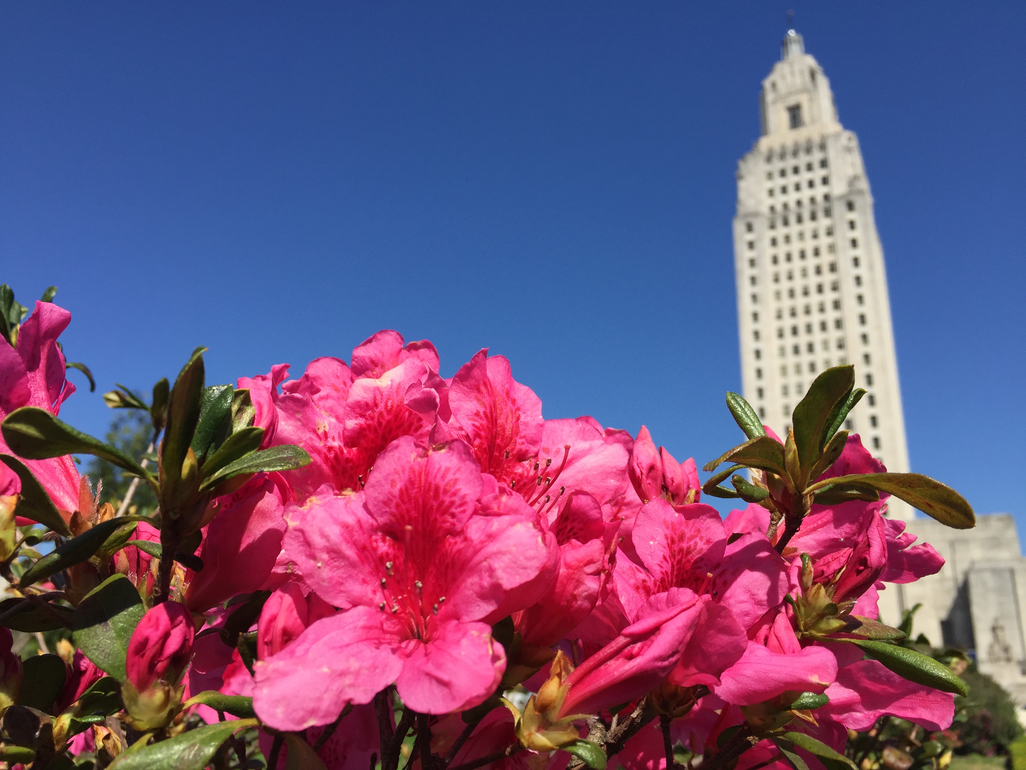 What To See In Baton Rouge Things To Do In Baton Rouge, Louisiana