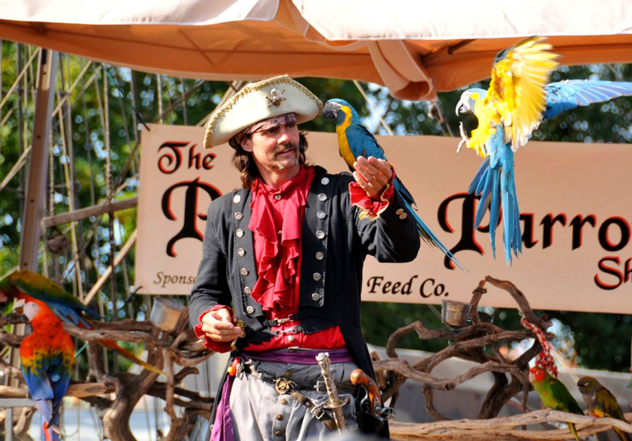 State Fair of Louisiana Pirate's Parrot Show State Fair of Louisiana Pirate's Parrot Show