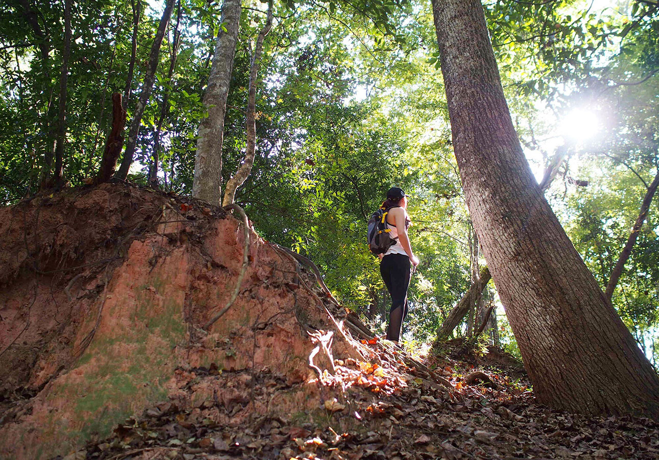 Hiking in Tunica Hills Wildlife Management Area louisiana National Public Lands Day