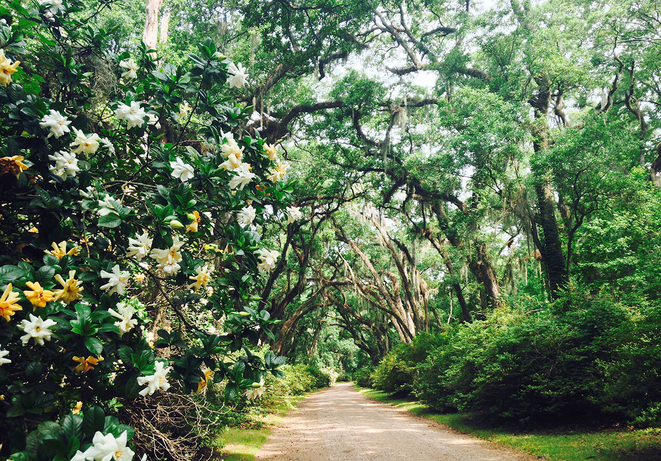 Afton Villa Gardens in St. Francisville LA Afton Villa Gardens in St. Francisville LA