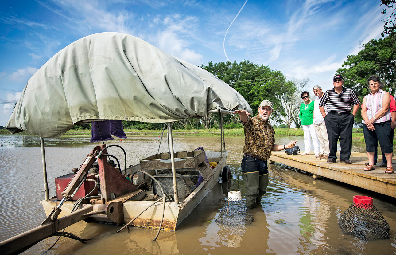 Crawfish Farm Tours in Jeff Davis Parish Louisiana Crawfish Farm Tours in Jeff Davis Parish Louisiana