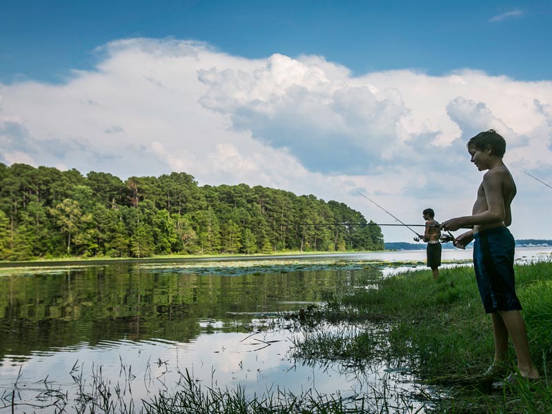 Best Freshwater Shore Fishing Locations in Louisiana