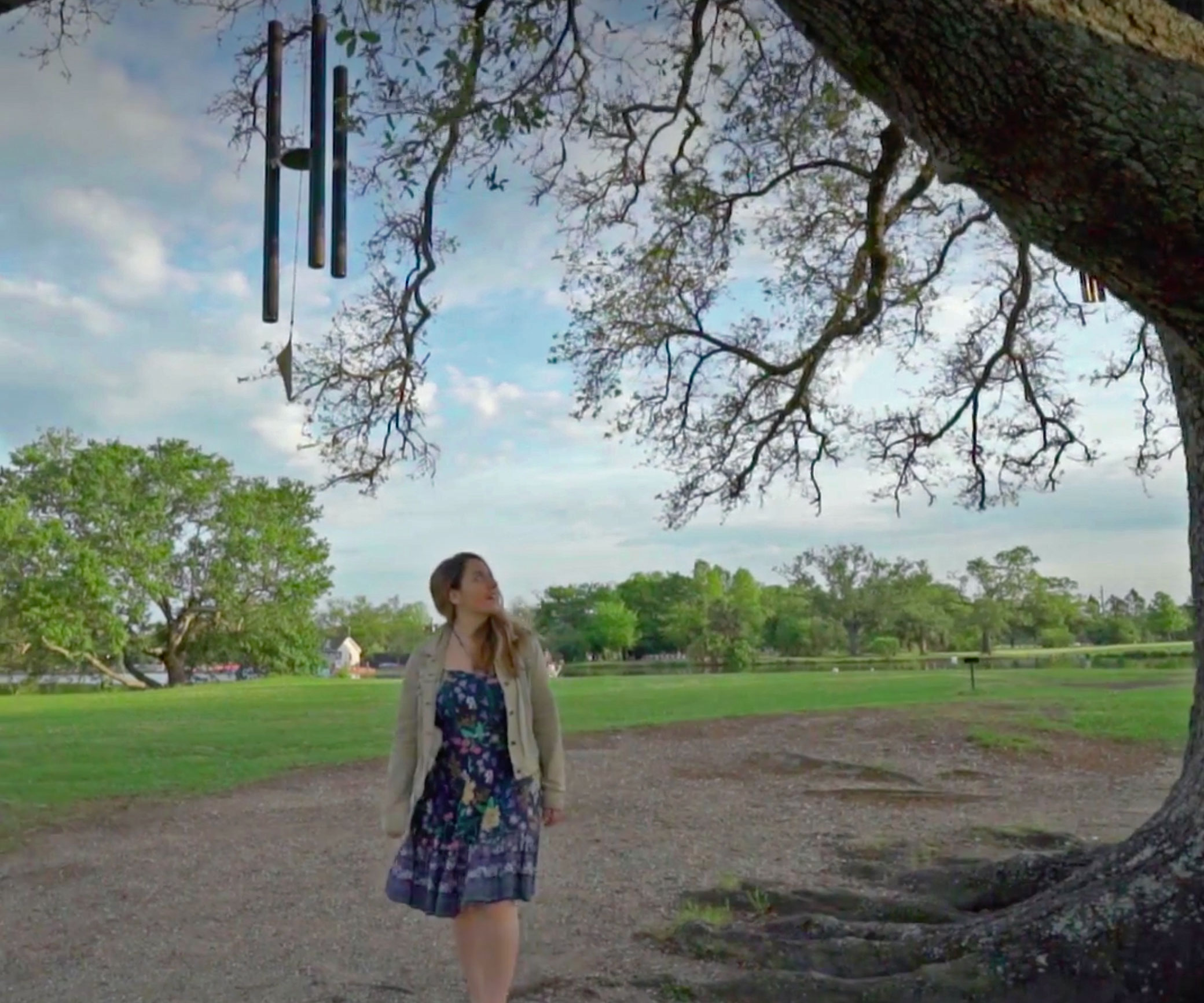 The Singing Oak The Singing Oak