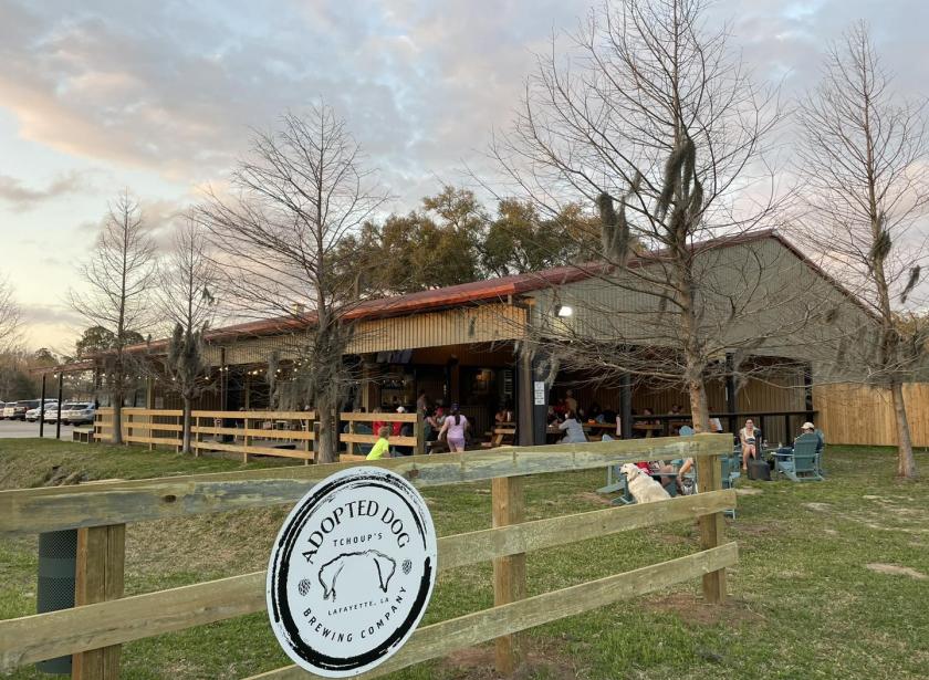 Adopted Dog Brewing Photo