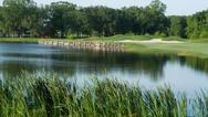 The Atchafalaya at Idlewild