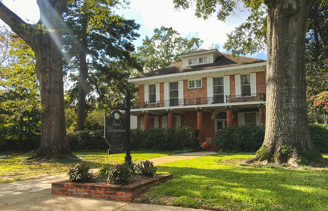 Exterior of the Steel Magnolia House surrounded by massive trees in Natchitoches.