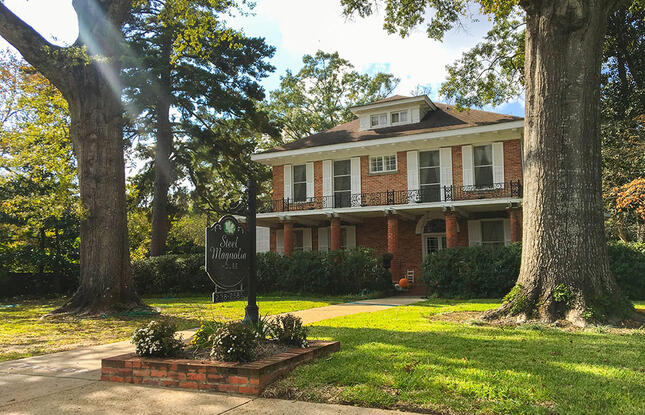 Exterior of the Steel Magnolia House surrounded by massive trees in Natchitoches.