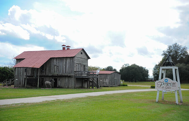 Cotton Gins at Frogmore Plantation