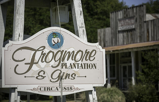 Frogmore Plantation &amp; Gins