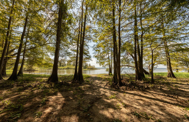 North Toledo Bend State Park