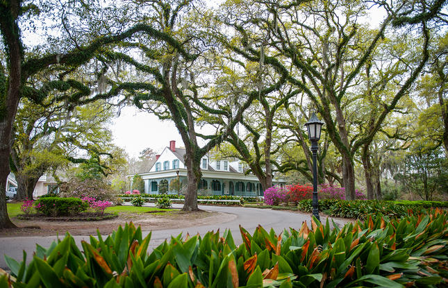 The Myrtles Plantation